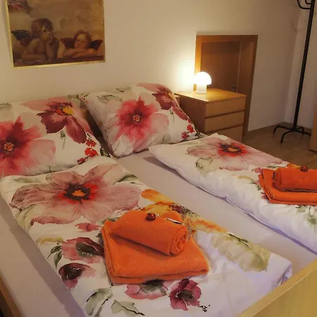 Iller Domizil - Haus Elisabeth Гостевой дом Illerbeuren